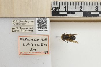 Media type: image;   Entomology 790200 Aspect: Labels